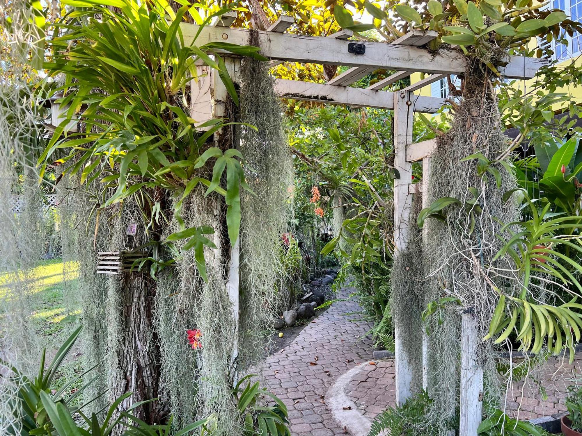 Orchid Cottage Kingston Eksteriør billede