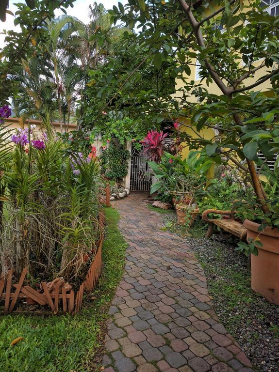Orchid Cottage Kingston Eksteriør billede
