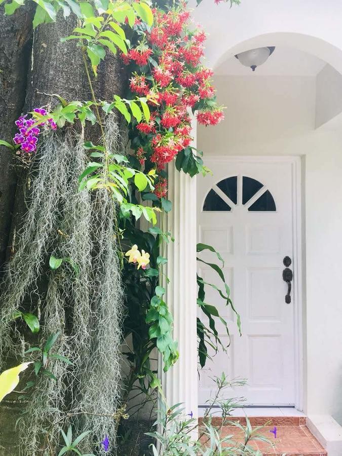 Orchid Cottage Kingston Eksteriør billede
