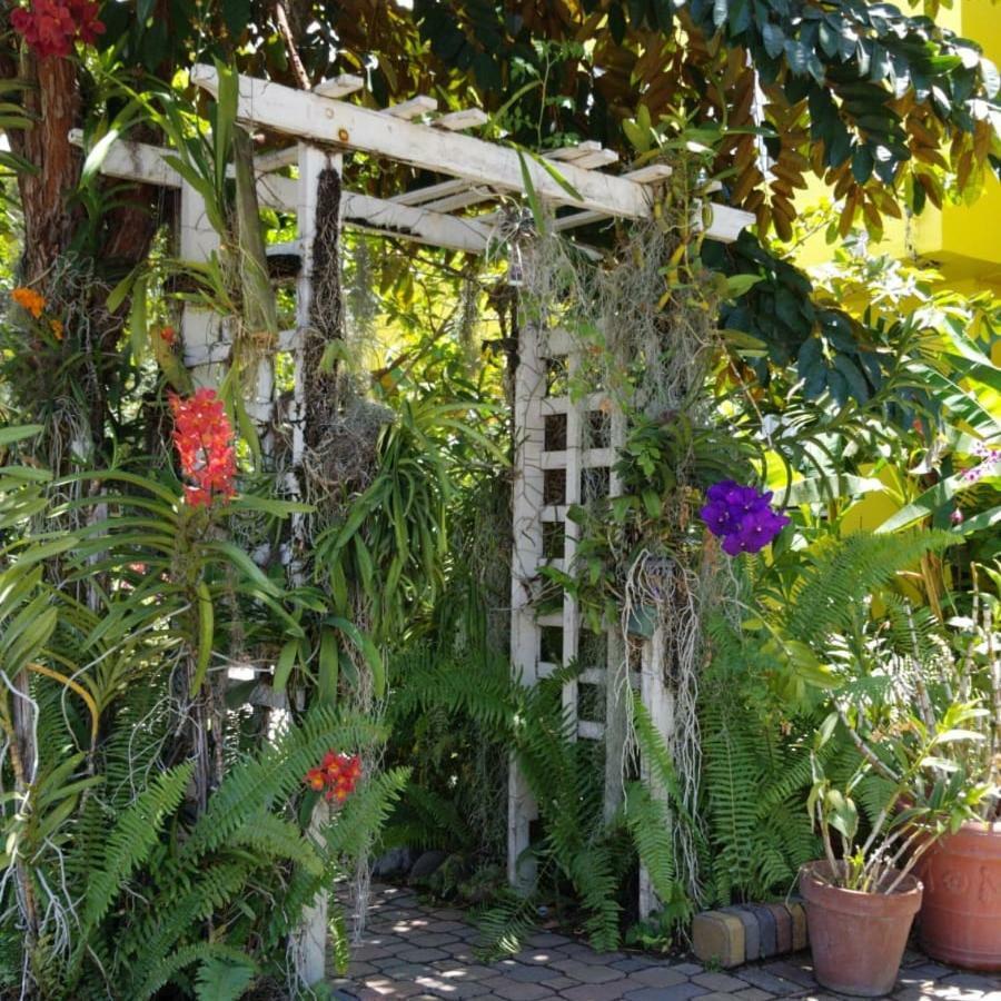 Orchid Cottage Kingston Eksteriør billede